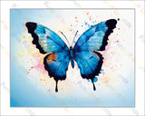 Ulysses Butterfly - 8x10 Print
