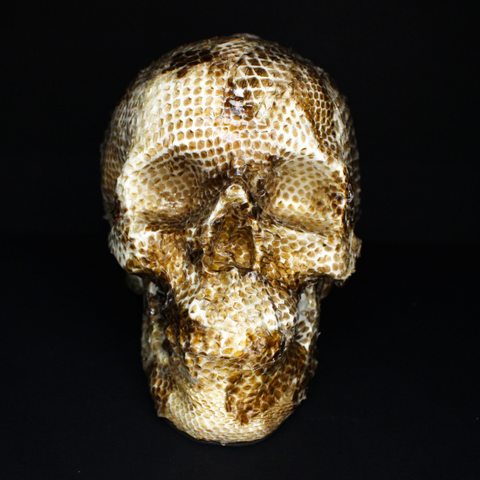 Resin Skull Amethyssst I