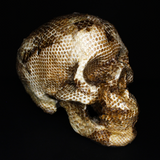 Resin Skull Amethyssst I