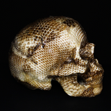 Resin Skull Amethyssst I