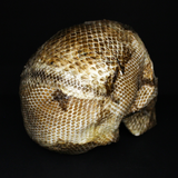 Resin Skull Amethyssst I