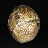 Resin Skull Amethyssst I