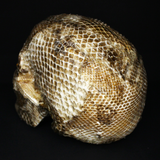 Resin Skull Amethyssst I