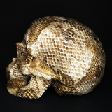 Resin Skull Amethyssst I