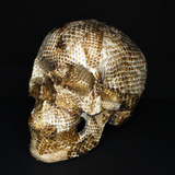 Resin Skull Amethyssst I