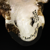 Resin Skull Amethyssst I