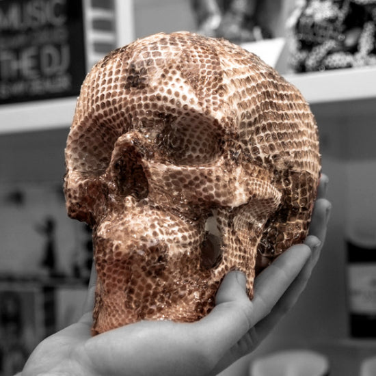 Resin Skulls