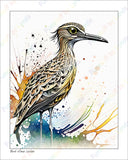 Bush Stone Curlew - 8x10 Print