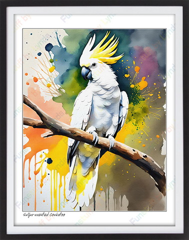 Sulfur-Crested Cockatoo - 8x10 Print