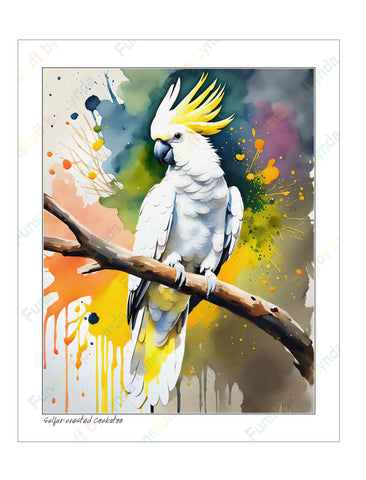 Sulfur-Crested Cockatoo - 8x10 Print