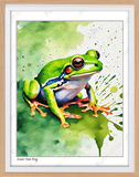 Green Tree Frog - 8x10 Print