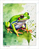 Green Tree Frog - 8x10 Print