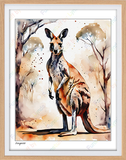 Kangaroo - 8x10 Print