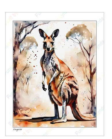 Kangaroo - 8x10 Print