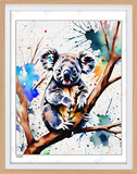 Koala - 8x10 Print