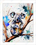 Koala - 8x10 Print