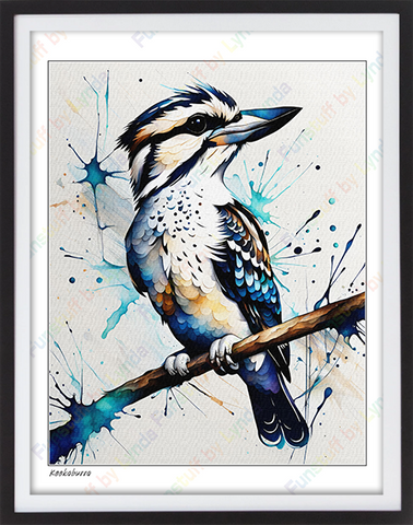 Kookaburra - 8x10 Print