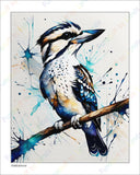 Kookaburra - 8x10 Print