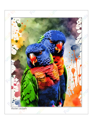 Rainbow Lorikeets - 8x10 Print