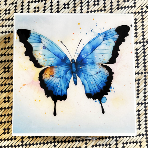 Resin Box - Ulysses Butterfly