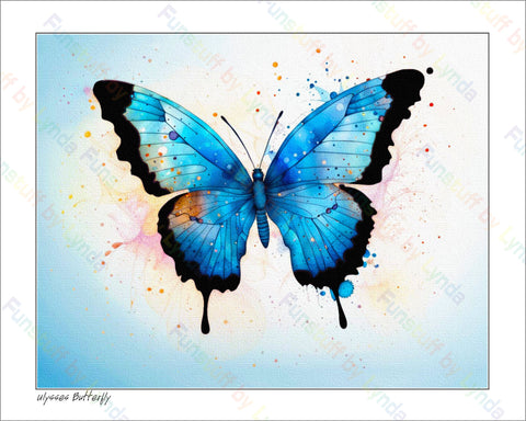 Ulysses Butterfly - 8x10 Print