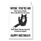 Greeting Card - Happy Birthday Cat 60th