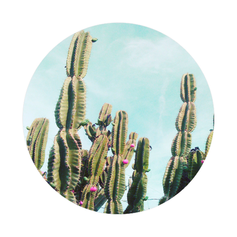 Key Ring - Cactus